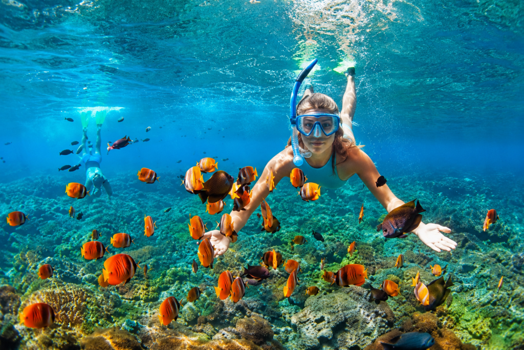 Andaman Blue Paradise